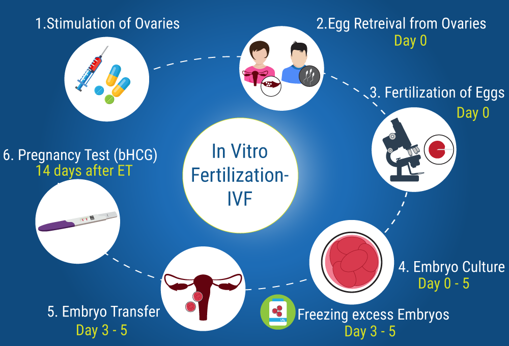 Does In Vitro Fertilization Hurt? What to Expect During IVF.
