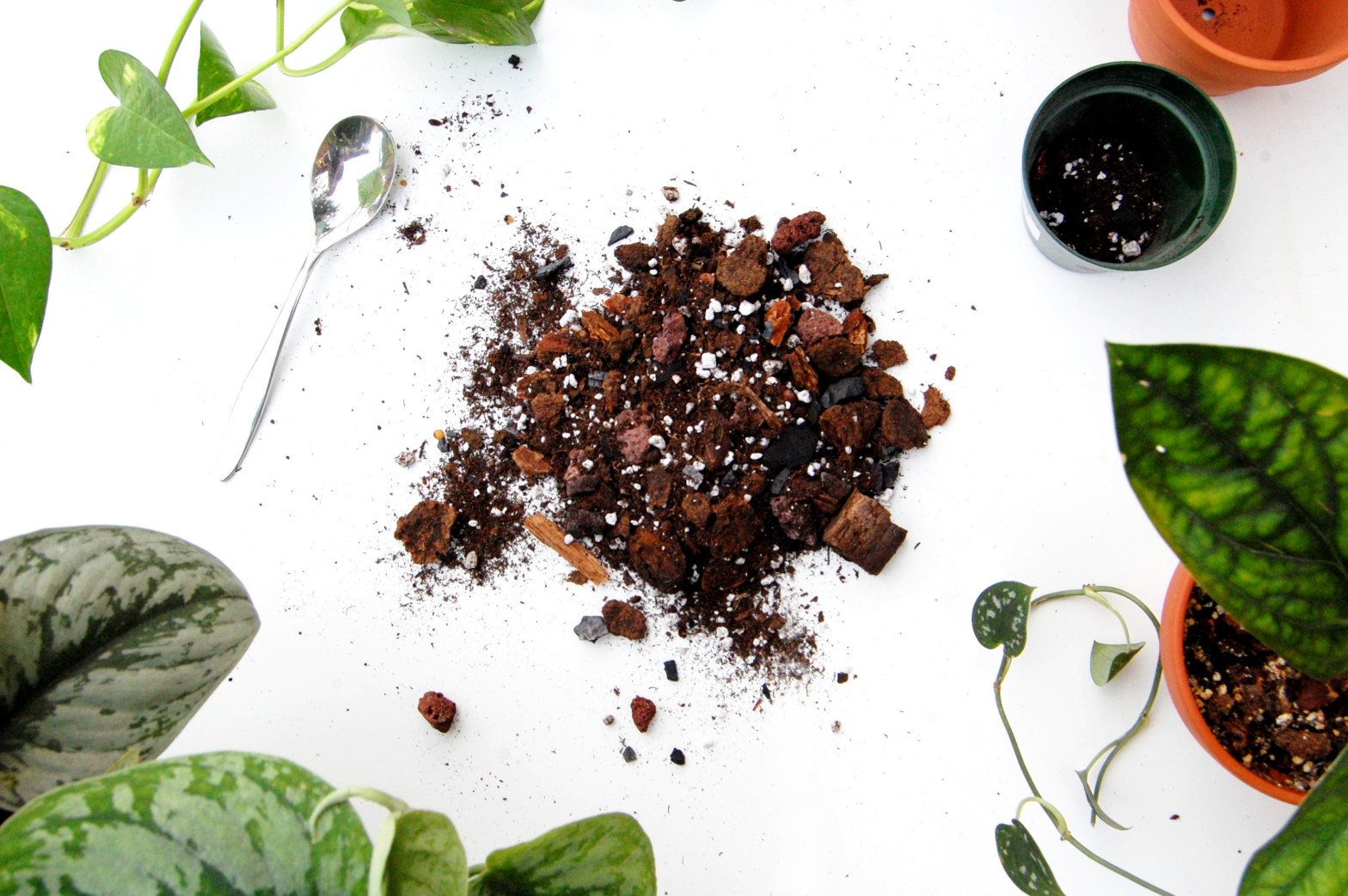 DIY Philodendron Potting Soil: Make Your Own Blend at Home!
