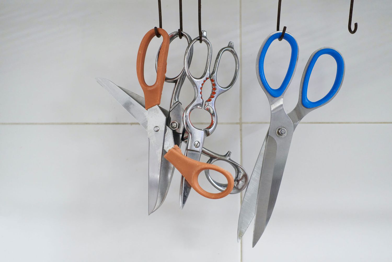 Veggie scissors cleaning and maintenance: Easy tips to keep your scissors sharp and hygienic for beginners!