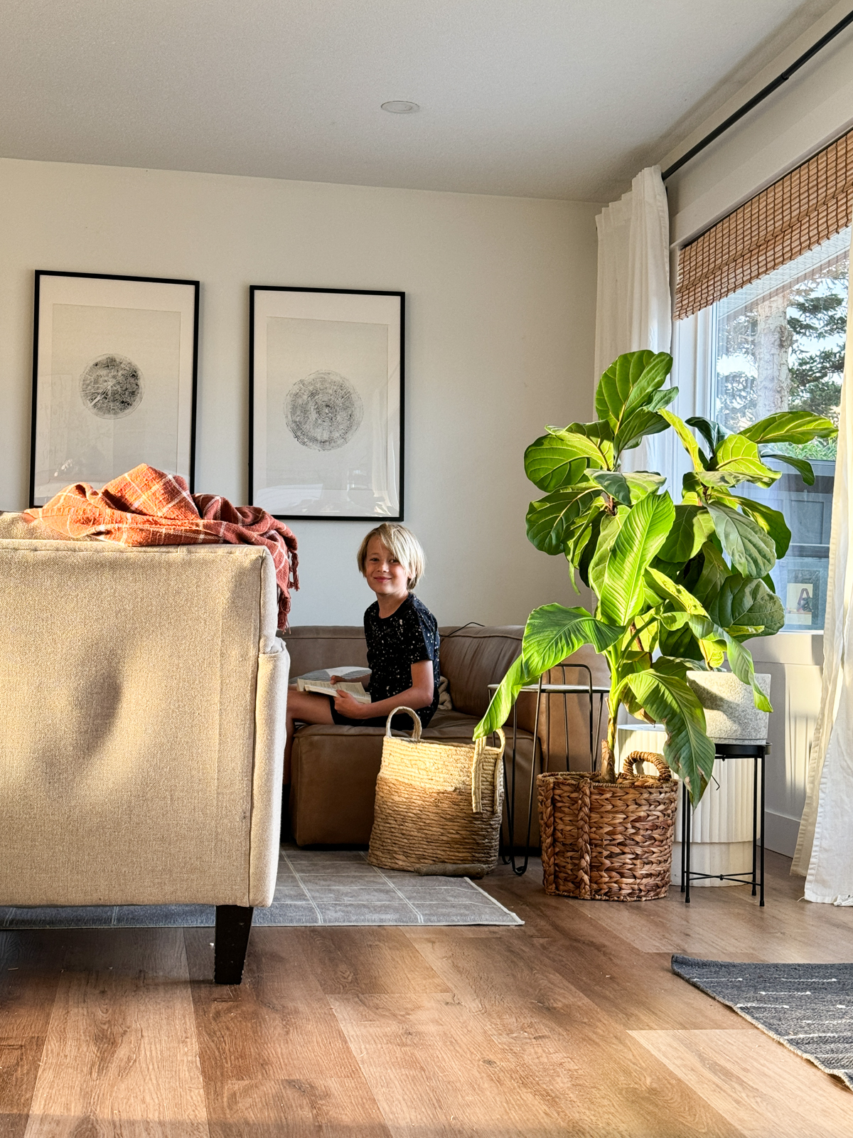 Using Tall Inside Plants for Decor? Get Ideas Here