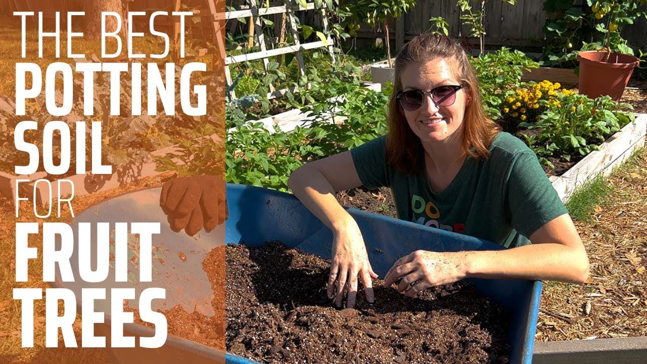 Using the Right Potting Soil for Fruit Trees, A Simple Guide for you!