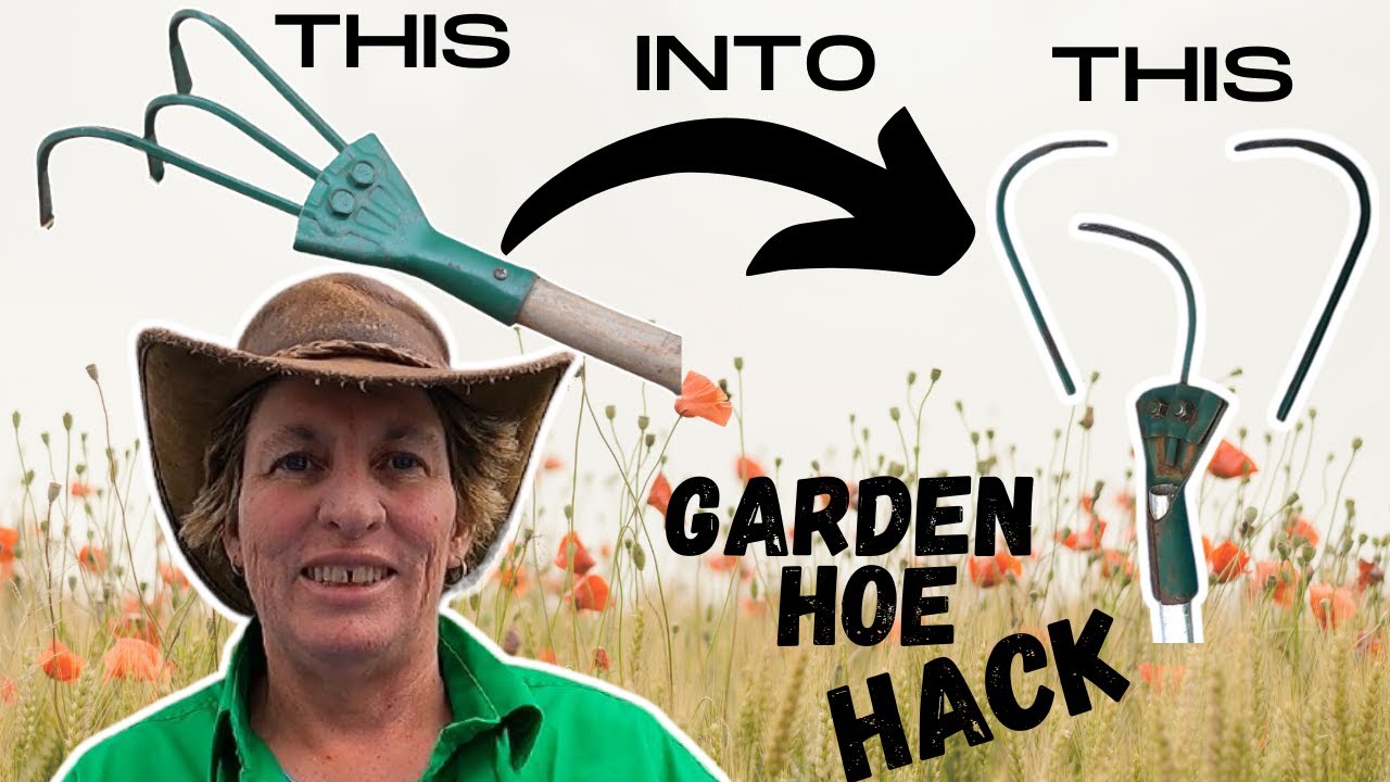 How to Use a Three Pronged Gardening Tool? Get the Most Out of It!