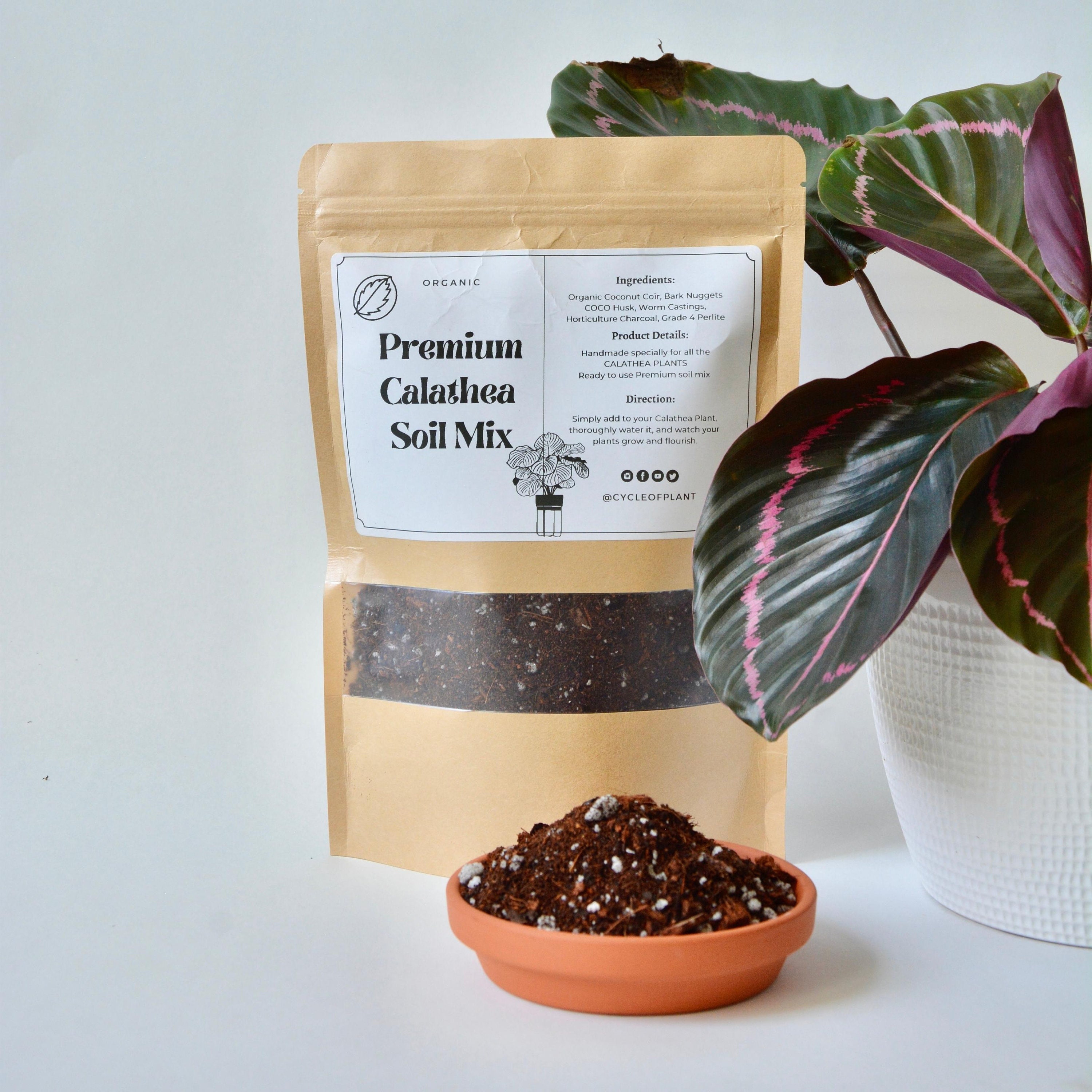 Perfect Calathea Soil Mix: Keep Your Plants Thriving!