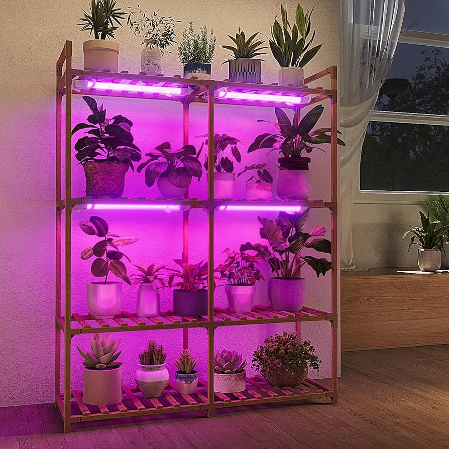 Lamp Plant Stand: Where to Buy (Top Picks and Reviews)