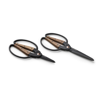Barebones garden scissors, how to choose? Simple tips for every gardener!