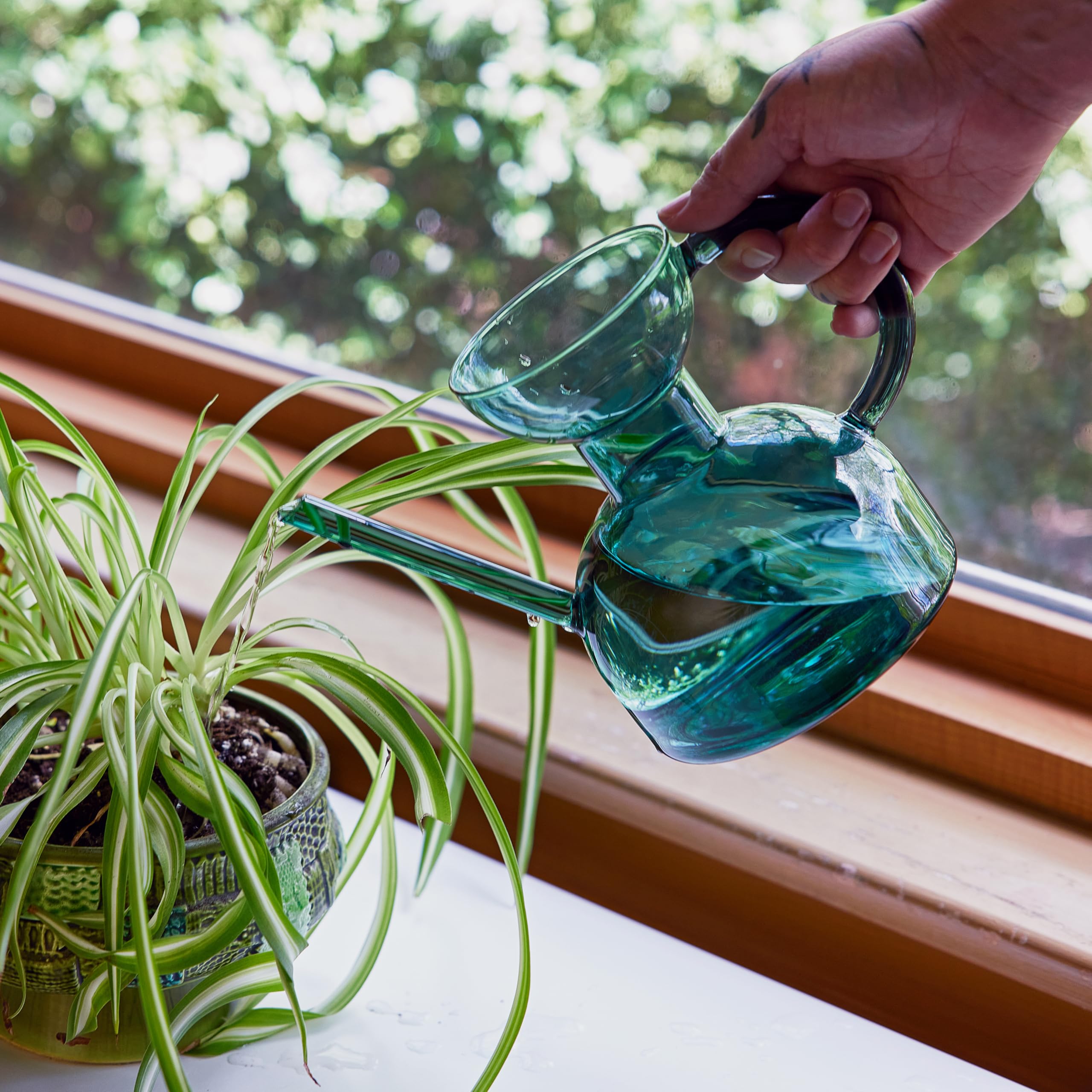 Modern Sprout Watering Can Review: Stylish and Functional Watering for Your Plants!