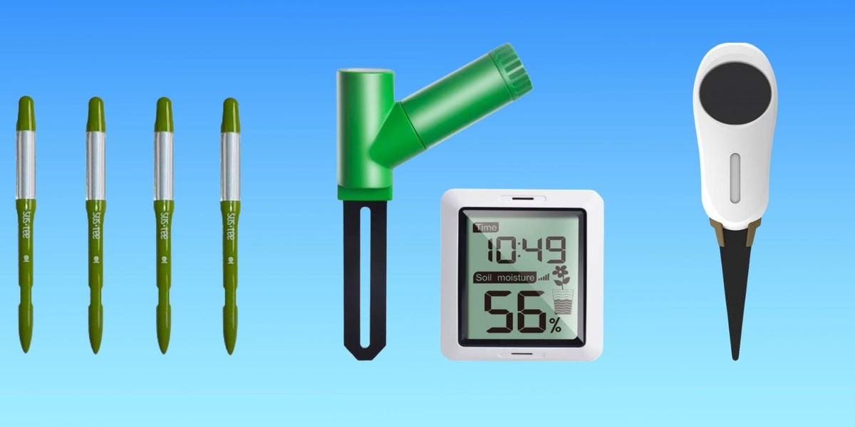 Soil Moisture Content Meter: Top Brands and Models to Consider Buying This Year
