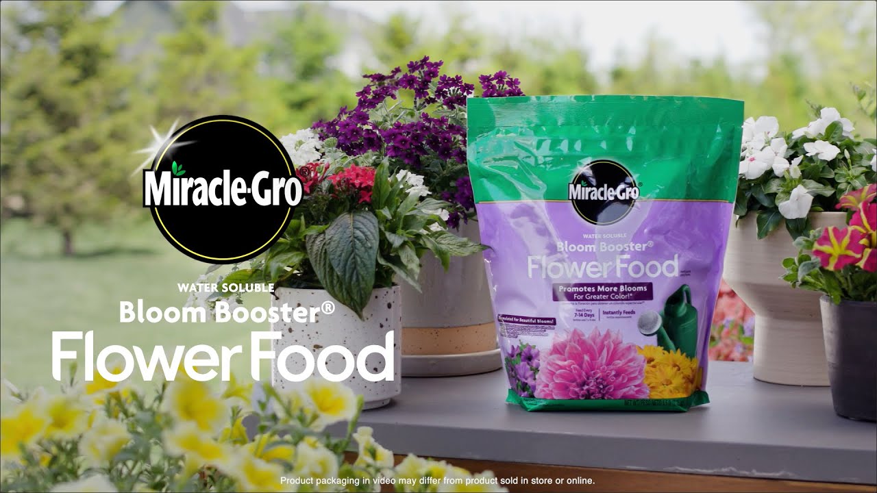 Flower Booster Fertilizer: How to Use It for Amazing Blooms (Simple Tips for Beginners)