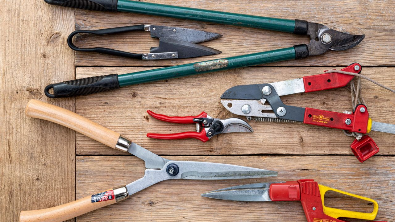 Why You Need Floral Pruning Shears: The Essential Tool for Every Gardener