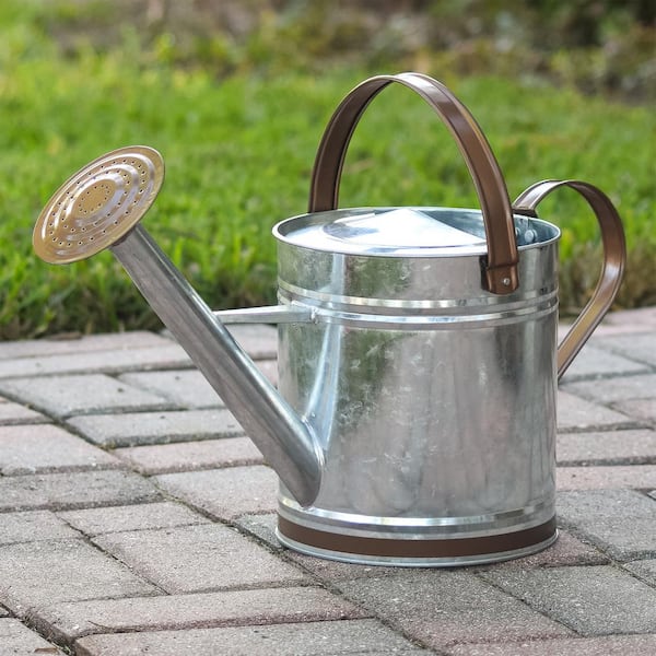 Metal Watering Cans: Where to Buy and What to Look For!