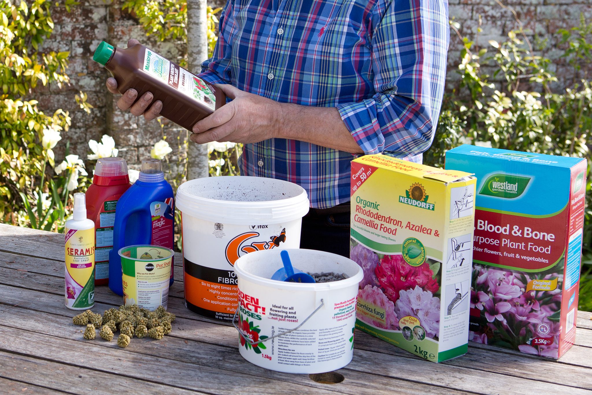 Best Flower and Fruit Fertilizer: Easy Tips to Boost Your Garden!