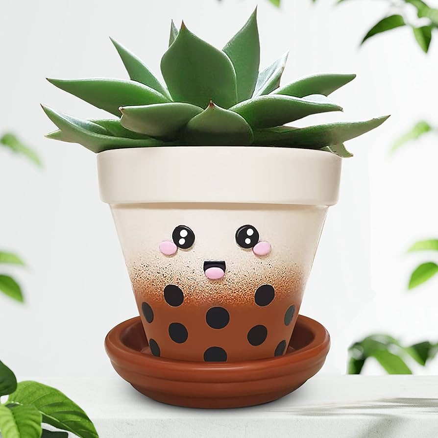 What is the best flowerpot with saucer? Find out the perfect one for your plants today!