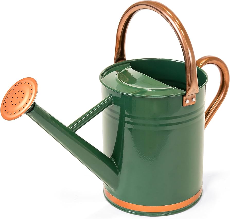 1 Gallon Watering Can Metal: Is It the Right Choice for Your Garden?