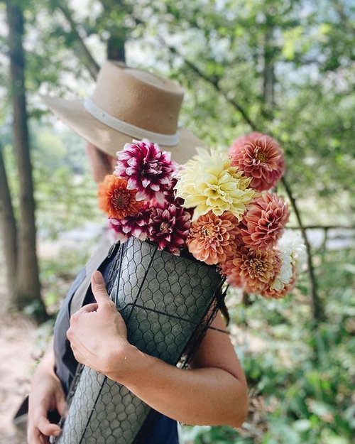 Fertile Flower for Beginners: Easy Steps to Grow Beautiful Flower All Season