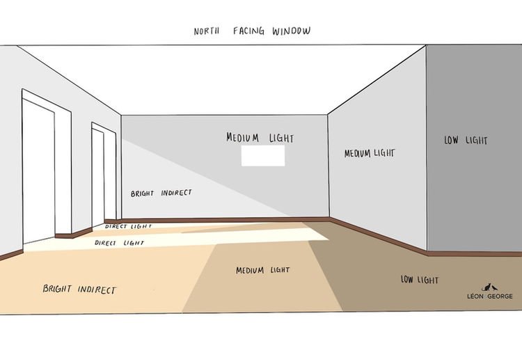 North Facing Windows Light: Why it is important for you? And how it impacts your daily life.