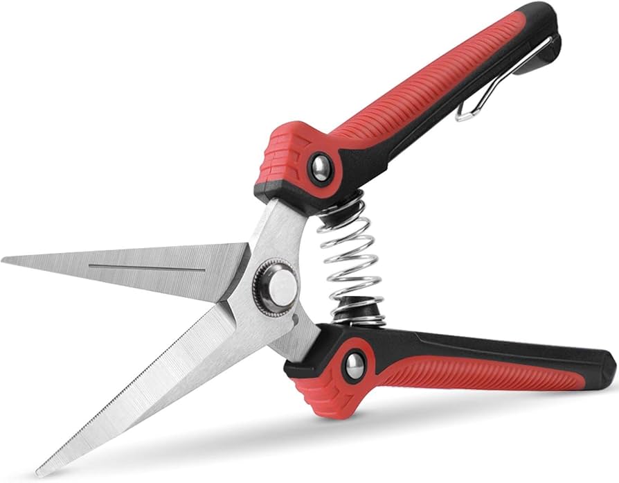 Where to Buy Long Scissors for Gardening? Comparison and Guide!