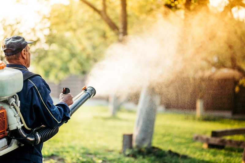 Pesticide Smoke Gun: Does It Really Work? (Expert Advice and User Experiences)