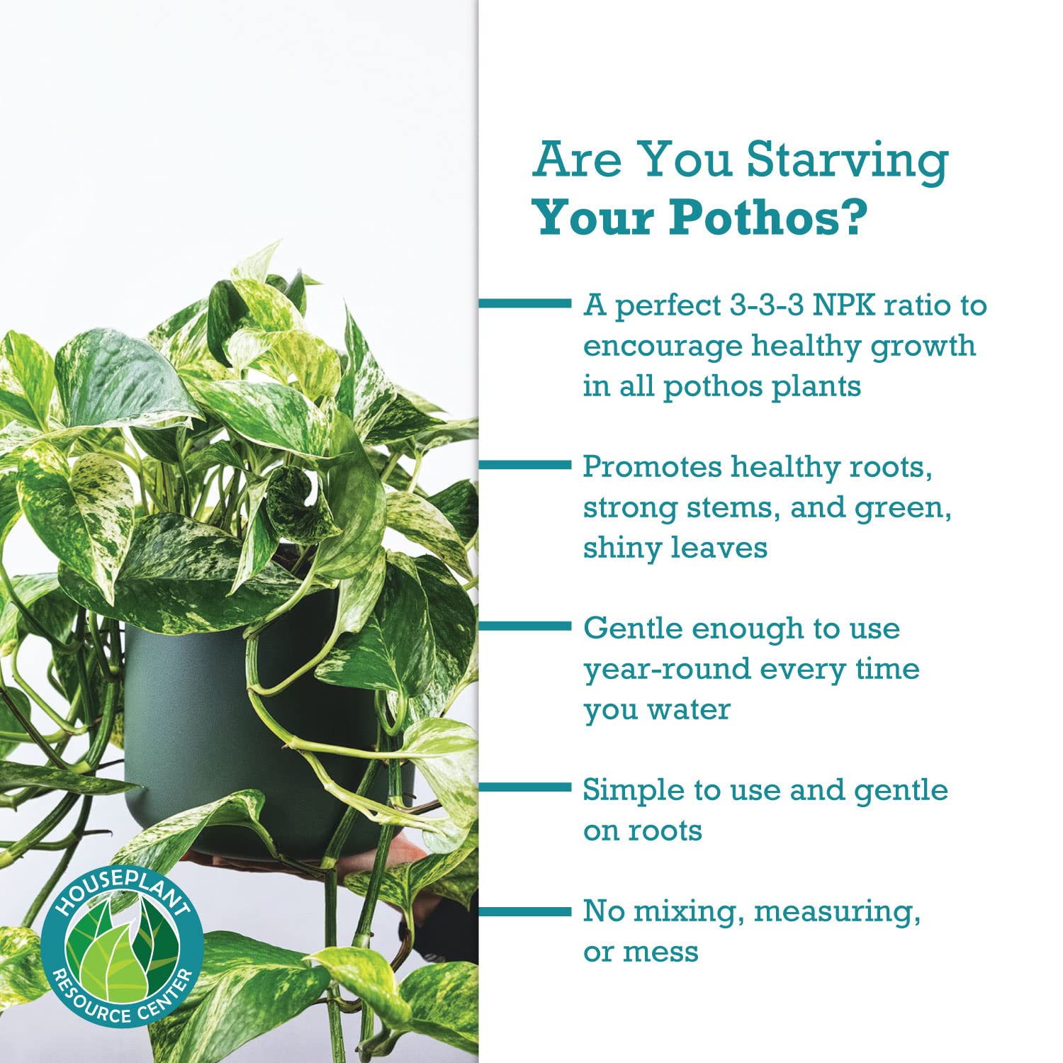 Fertilizing Pothos: Whats the Best Fertilizer to Use