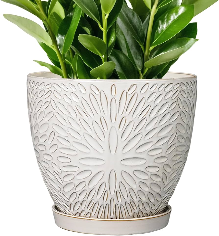 Porcelain Ceramic Flowerpot: Stylish and Durable Options for Your Indoor Plants.