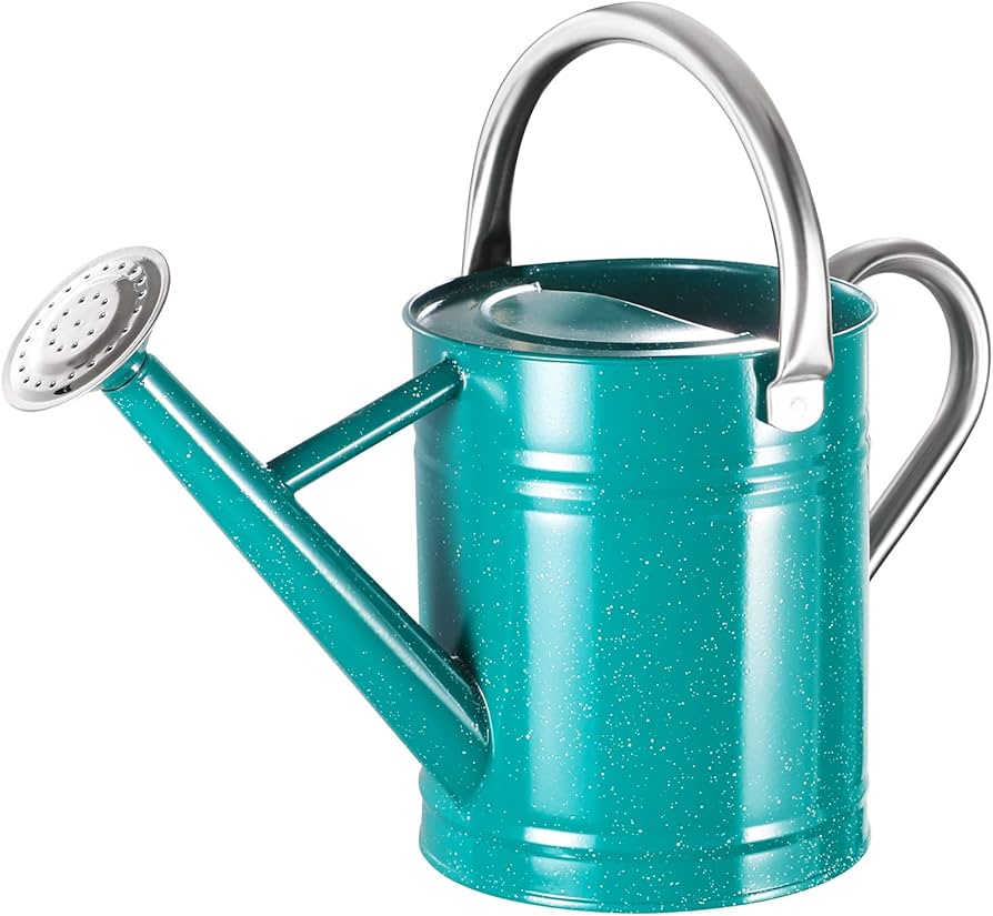 Why Use a 1 Gallon Watering Can Metal for Plants?