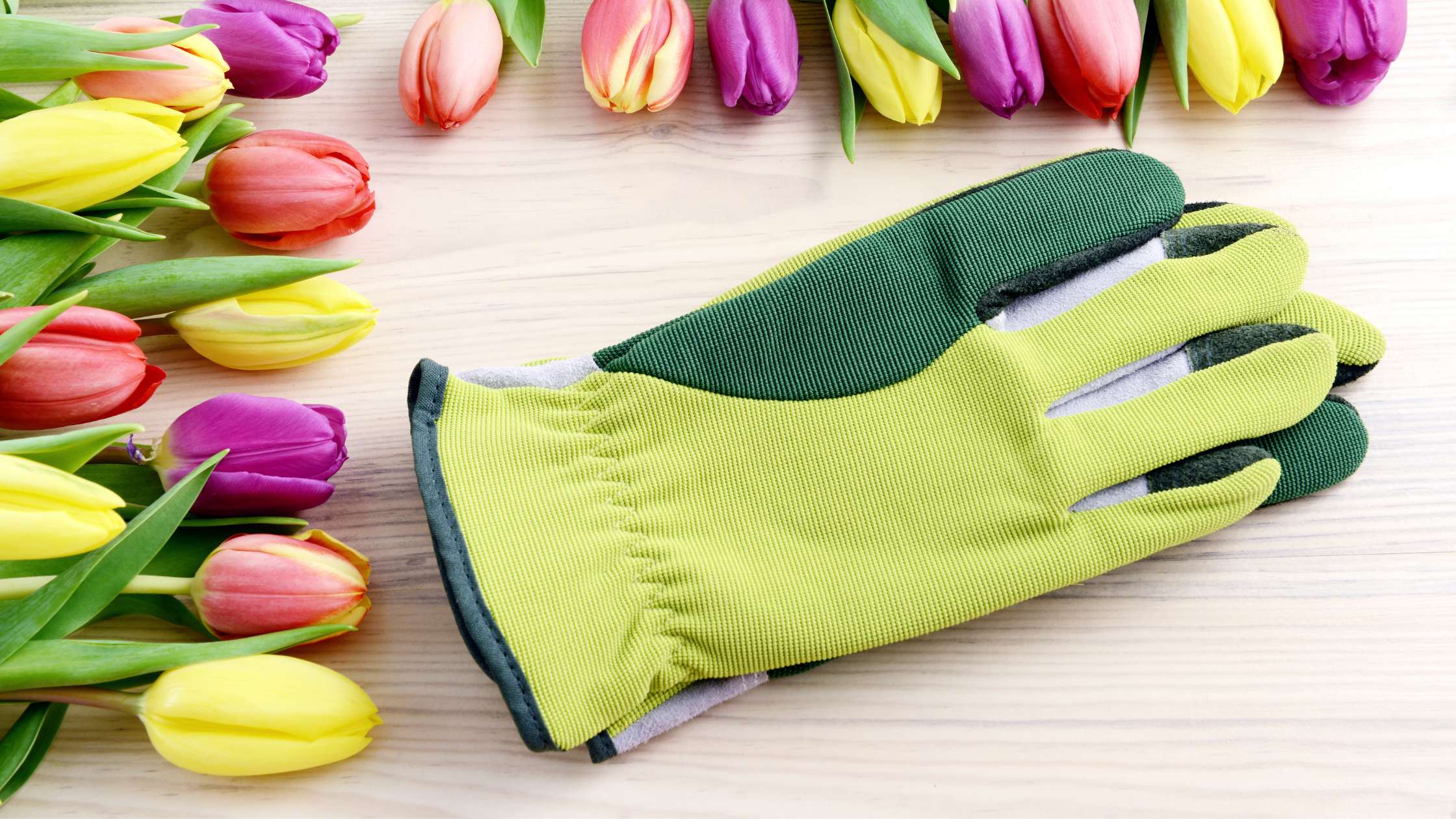 Cloth Gardening Gloves: How to Choose the Right Pair For Your Needs.