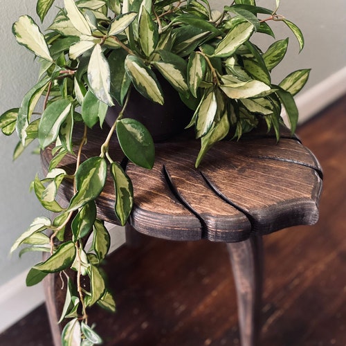 The Best Plant Stand for Monstera: Top Picks for Your Leafy Friend!