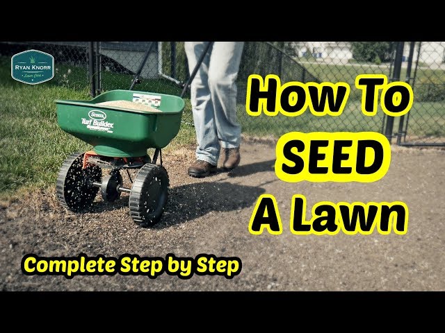Seeder Fertilizer Tips for Beginners (Simple Steps for a Great Lawn)