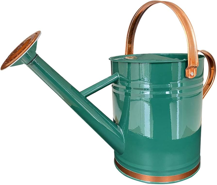 Tin Watering Cans For Sale (Best Deals Online Now)