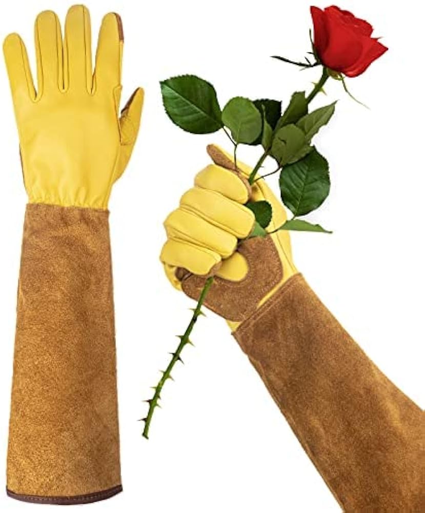 Gloves for Blackberry Bushes: Say Goodbye to Pricks and Pain!