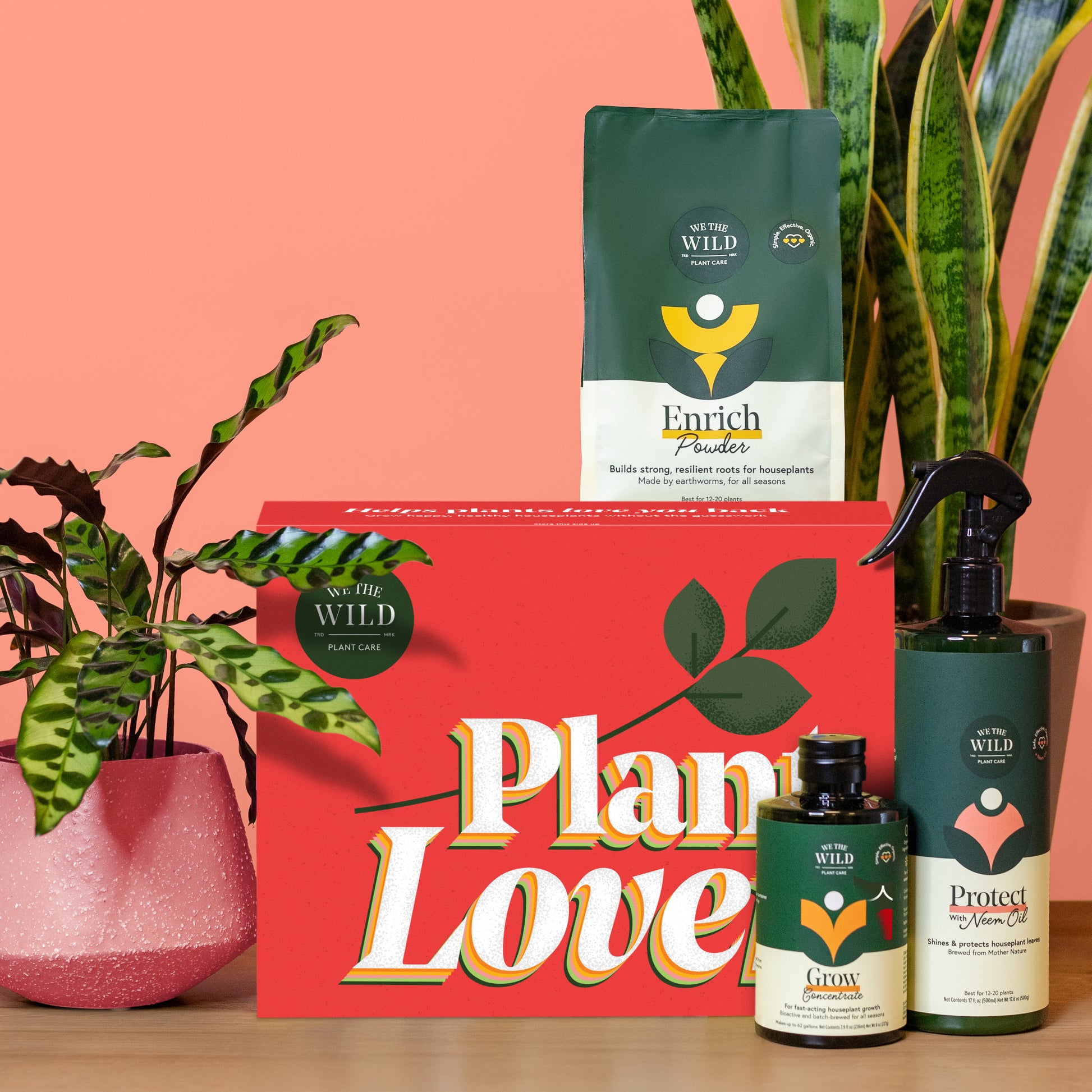 House Plant Care Kit Essentials: Everything You Need to Keep Your Indoor Plants Alive and Well