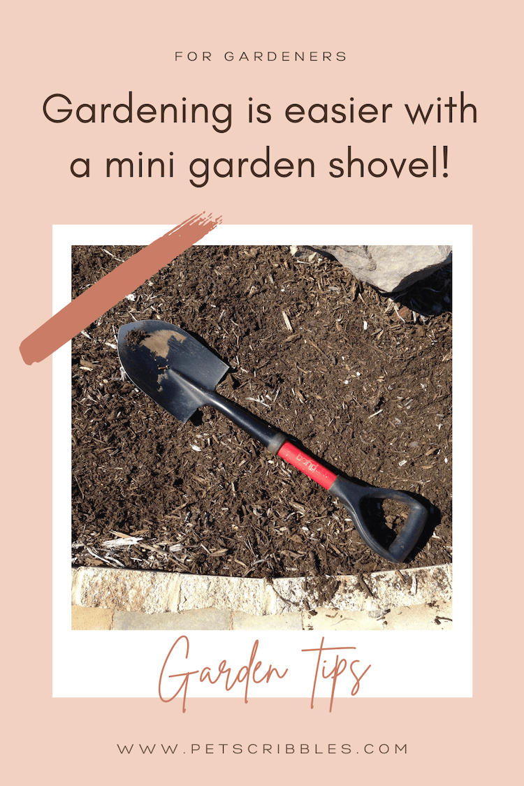 Why Use a Tiny Shovel? Garden Pros Share Secrets