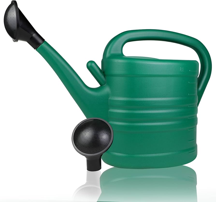 Extra Large Watering Can: Where to Buy and What to Look For!