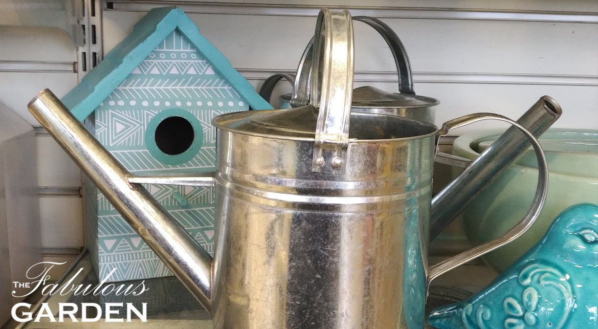 Choosing a Stainless Steel Watering Can: What to Consider.