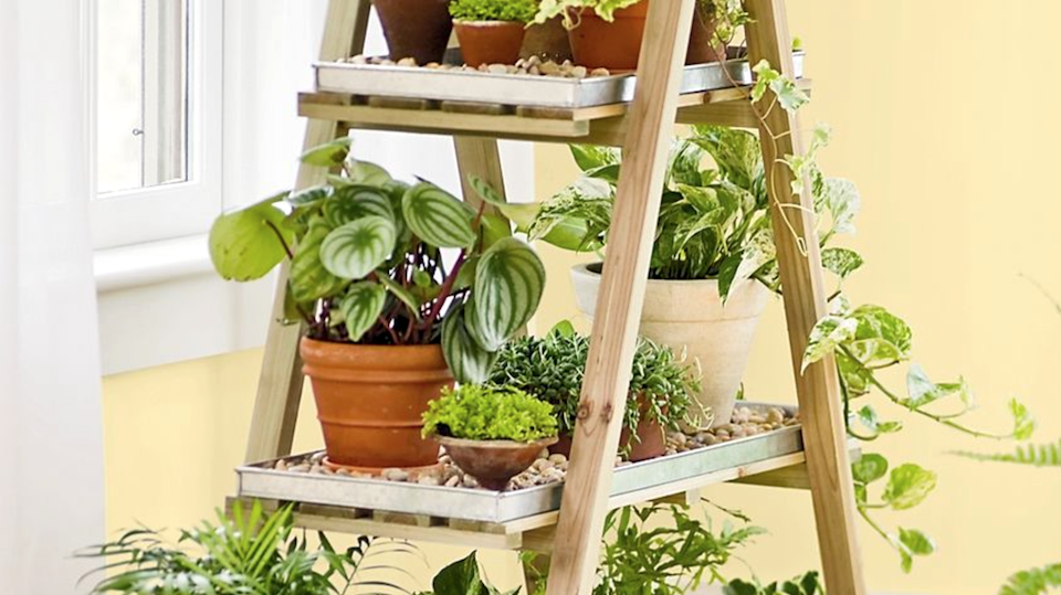 Best House Plant Tools: Easy Tips for Indoor Gardening!