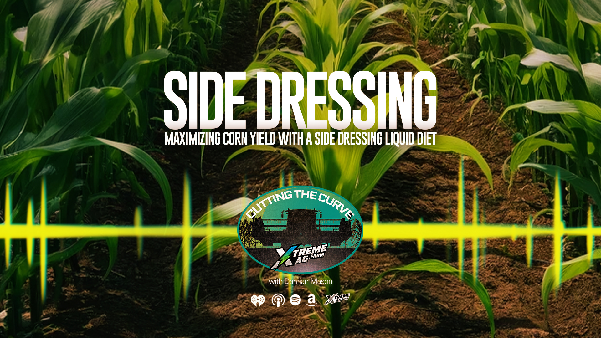 Why Side Dress Corn with Dry Fertilizer? Get Bigger Corn Yields with This Method