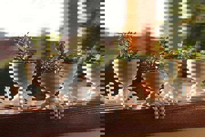 DIY Porcelain Flowerpot Ideas: Get Creative with Your Decor!