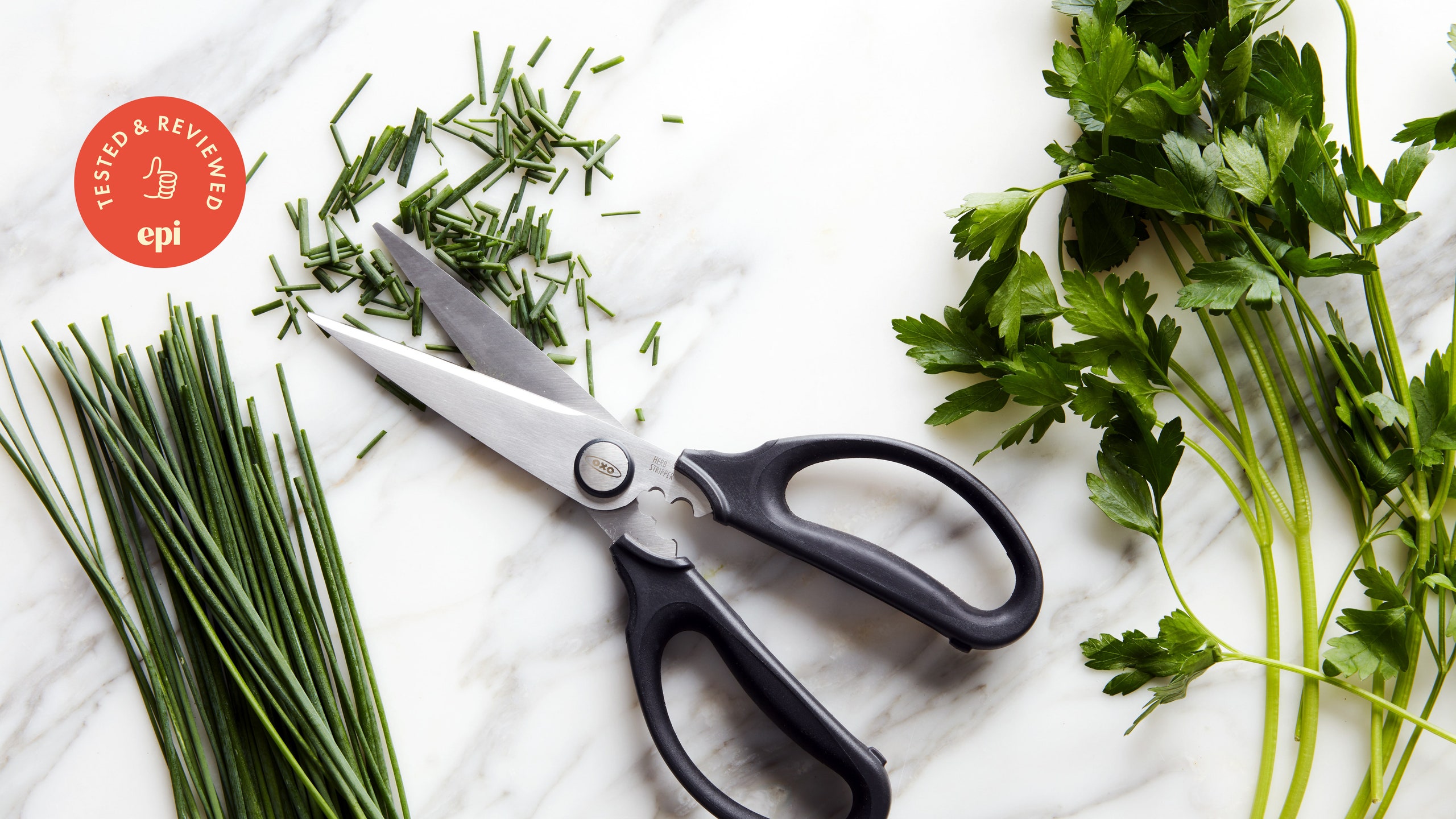 How to Choose the Best Scissors for Cutting Herbs: Ultimate Guide!