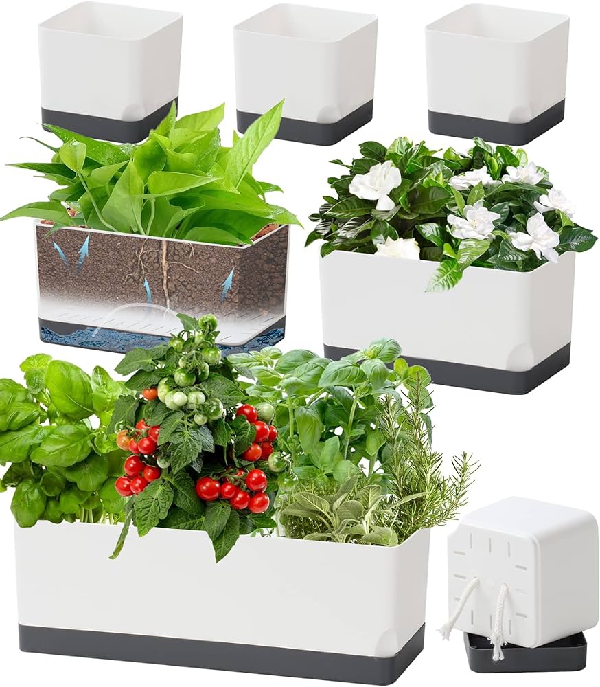 Affordable Self Watering Window Sill Planter (Great Options That Wont Break the Bank)