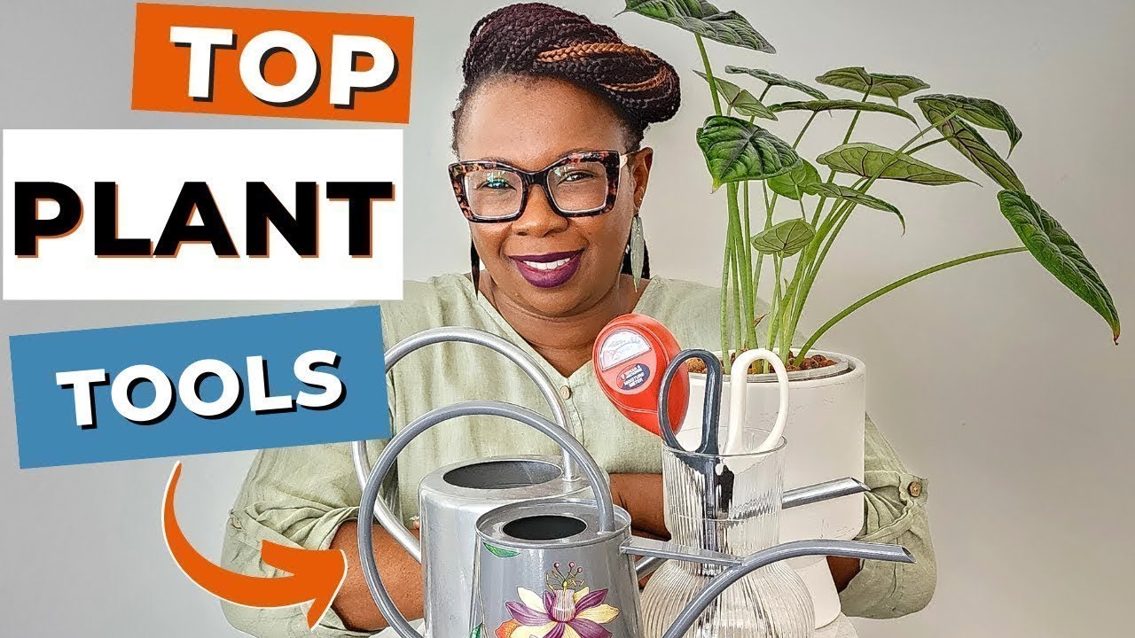 Indoor Plant Tools: What Do You Really Need Now
