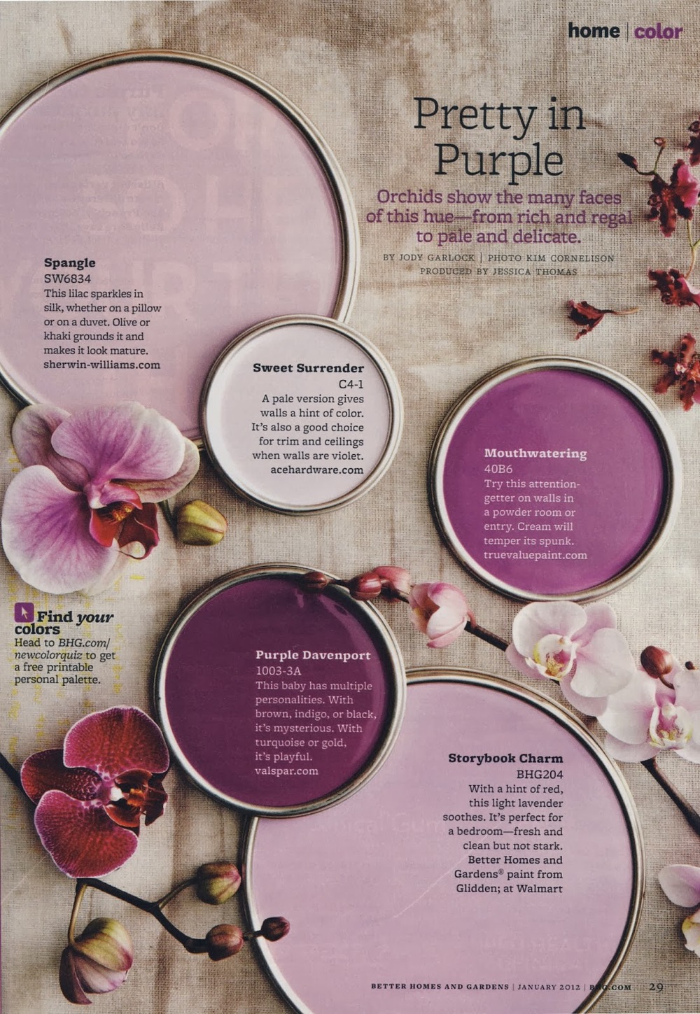 Orchid Light Purple: What Colors Pair Well With This Pretty Hue