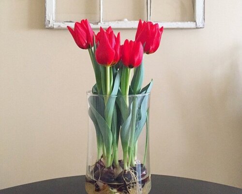 Bloomaker.com Aftercare: Keep Your Flowers Happy (Best Practices)