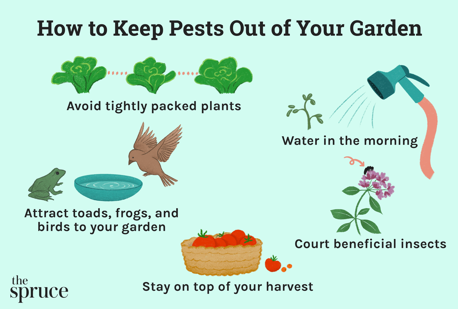 Dealing with Pests in Soil: Quick Tips for Healthier Plants!