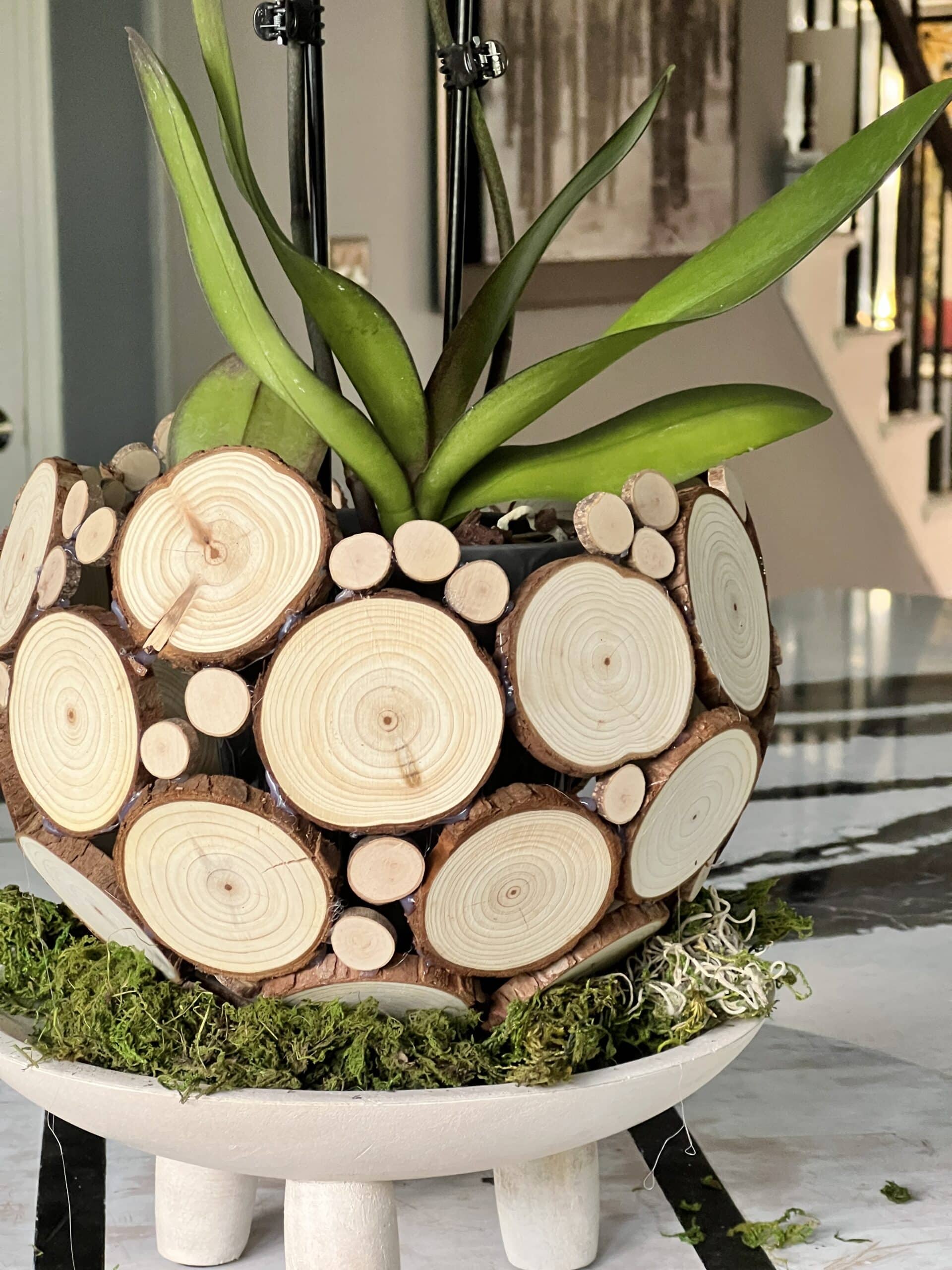 DIY Porcelain Flowerpot Ideas: Get Creative with Your Decor!