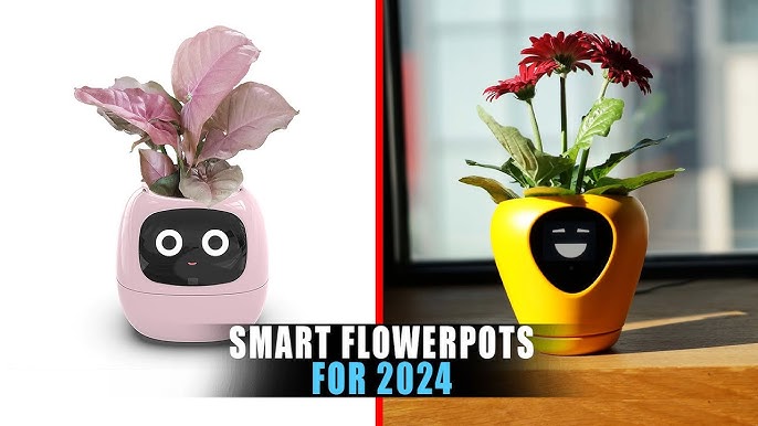 Best Smart Flowerpot: Top Picks (Simple Buying Guide 2024)