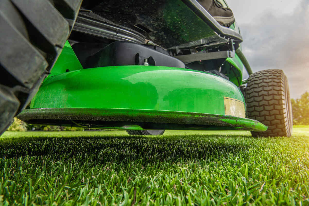 Should Grass Be Cut Before Fertilizing? This Trick Guarantees a Lush Yard!