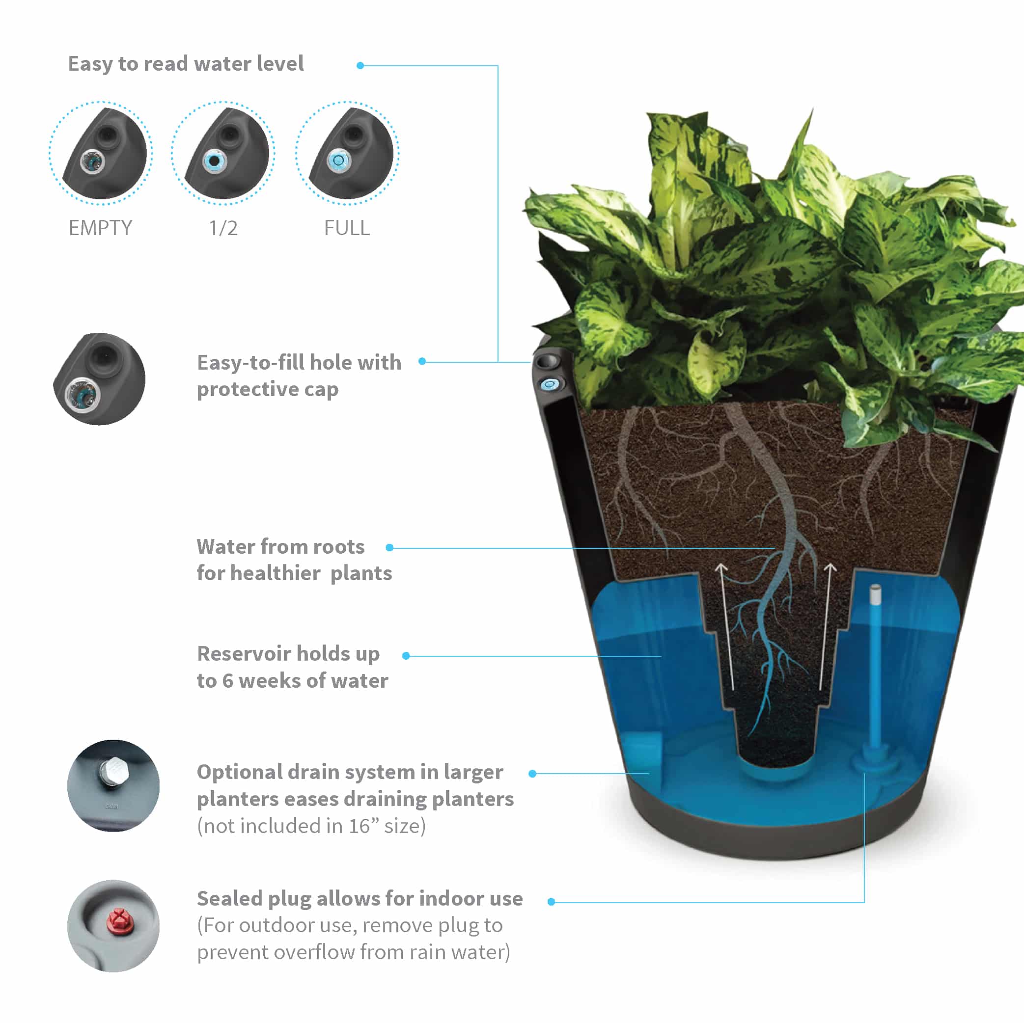 Crescent Self Watering Pots for Beginners: The Ultimate Guide! (Learn How to Use Them Like a Pro)