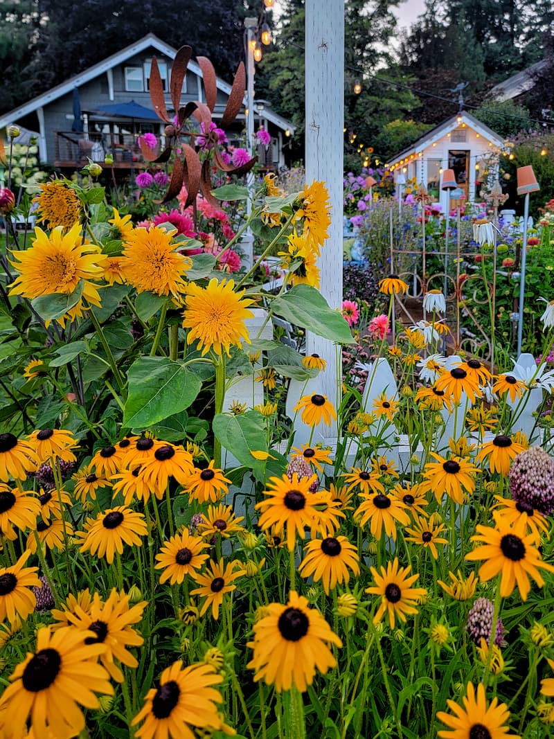 Planting Flowers for Zone 4: What to Grow? (Simple Tips for a Flourishing, Long Lasting Garden)