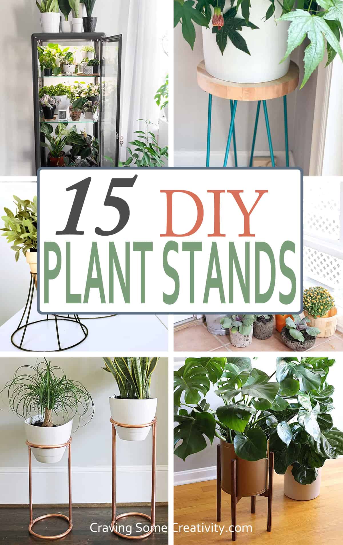 DIY Plant Growing Stand Ideas: Easy and Affordable Projects for Your Home!