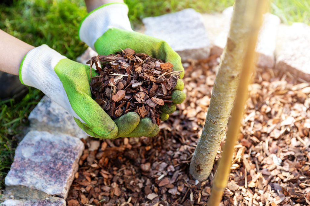 Shovel Mulch Like a Boss: Expert Advice for Quick and Effective Mulching