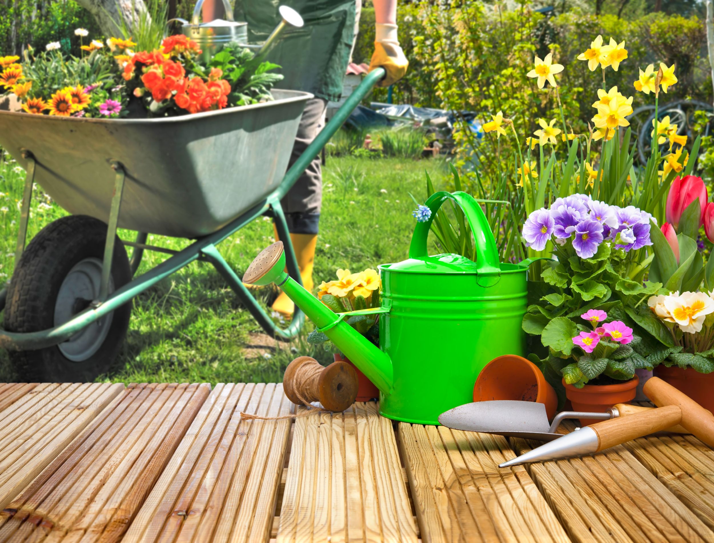 Power Gardening Tools: Essential Equipment for Every Home Gardener and Pro